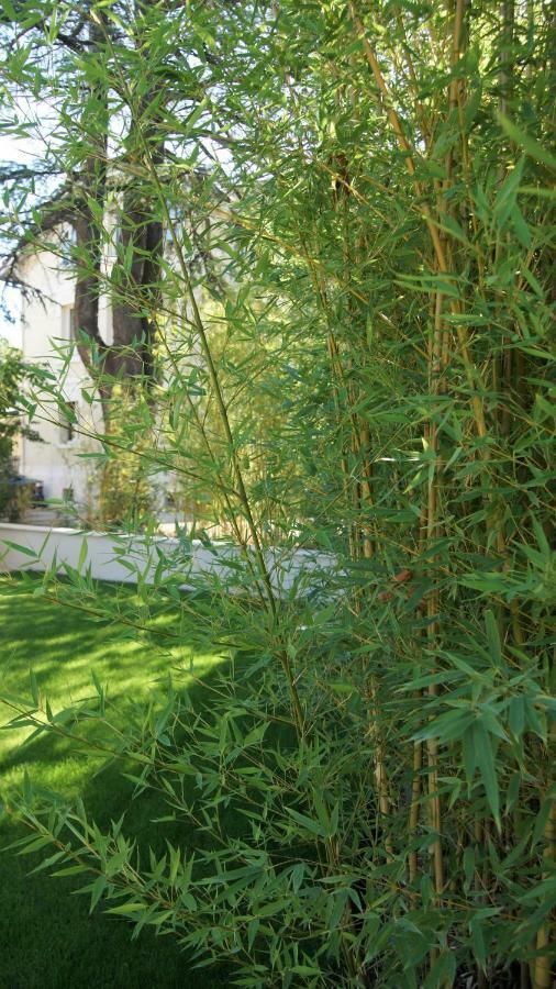 Hotel De Charme L'Oree Du Parc Romans-sur-Isère Εξωτερικό φωτογραφία